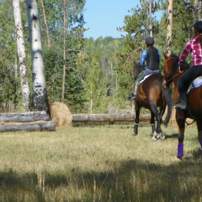 Equine Clinics at Flying Horse Ranch