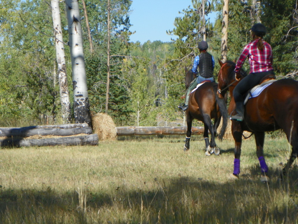 Equine Clinics at Flying Horse Ranch